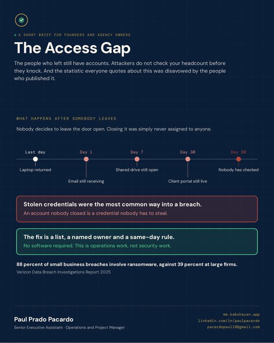Cover of The Access Gap